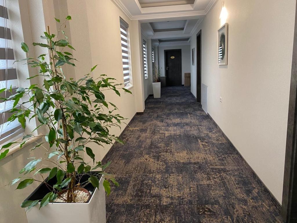Hotel Yarus Plus Ploiesti Luaran gambar